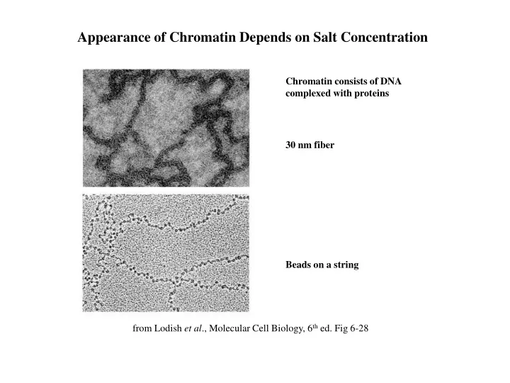 appearance of chromatin depends on salt
