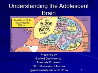 Understanding the Adolescent Brain