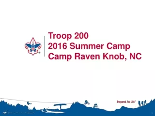 Troop 200  2016 Summer Camp Camp Raven Knob, NC