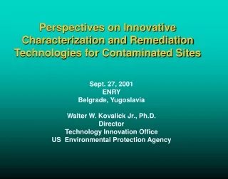 Perspectives on Innovative Characterization and Remediation Technologies for Contaminated Sites