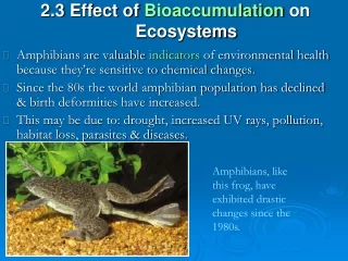 2.3  Effect of  Bioaccumulation  on Ecosystems