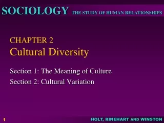 CHAPTER 2 Cultural Diversity