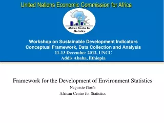 Framework for the Development of Environment Statistics Negussie Gorfe