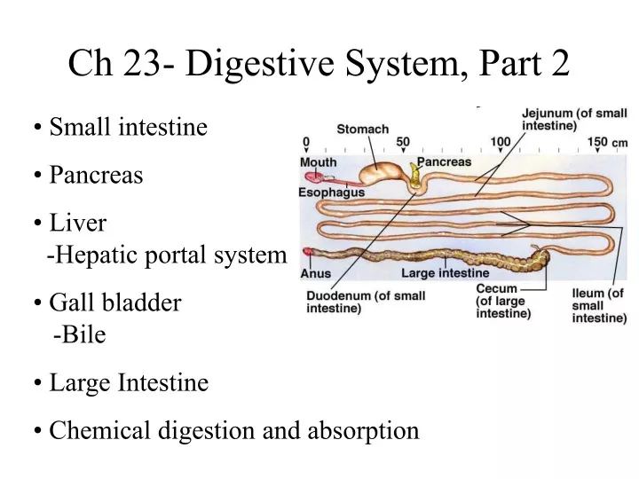 ch 23 digestive system part 2