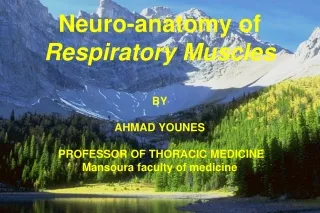 Neuro-anatomy of  Respiratory Muscles BY AHMAD YOUNES  PROFESSOR OF THORACIC MEDICINE
