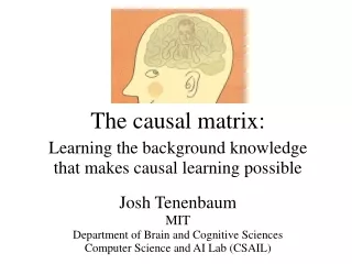 The causal matrix: Learning the background knowledge that makes causal learning possible