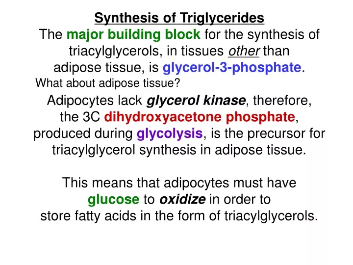 synthesis of triglycerides the major building