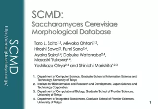SCMD: Saccharomyces Cerevisiae Morphological Database