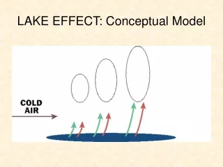 LAKE EFFECT: Conceptual Model