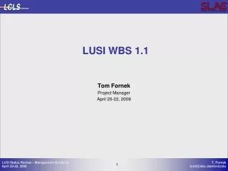 LUSI WBS 1.1