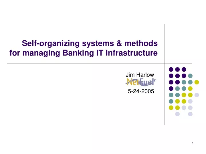 self organizing systems methods for managing banking it infrastructure