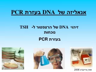 PCR  בעזרת  DNA  אנאליזה של