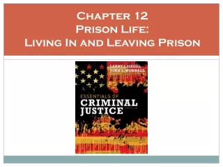 Chapter 12 Prison Life:  Living In and Leaving Prison