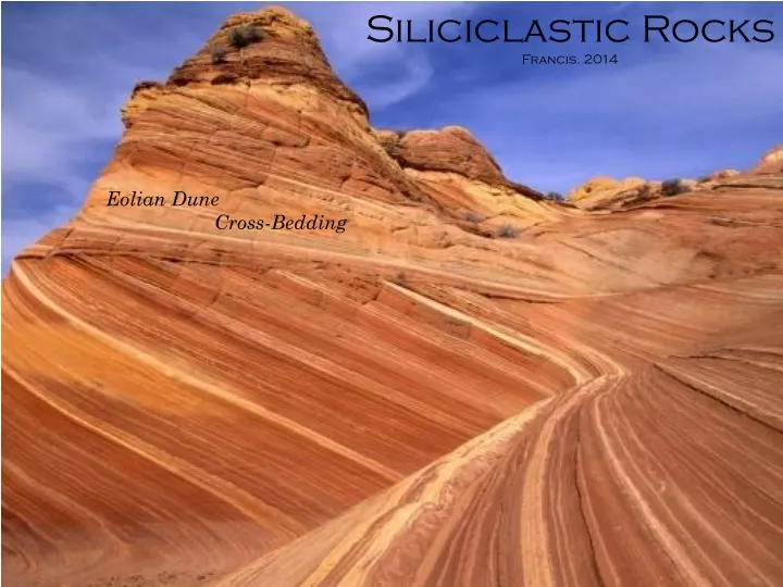 siliciclastic rocks francis 2014