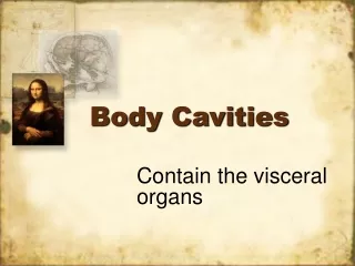 Body Cavities