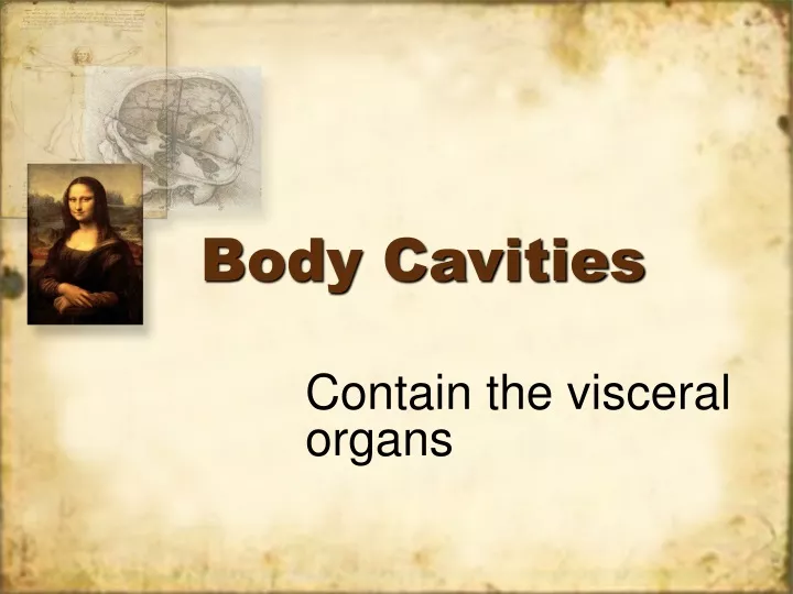 body cavities
