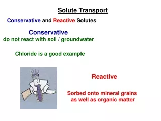 Conservative  and  Reactive  Solutes