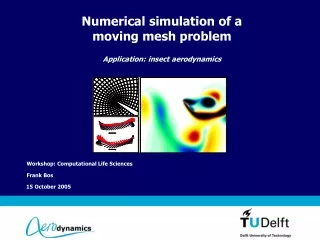 Numerical simulation of a moving mesh problem