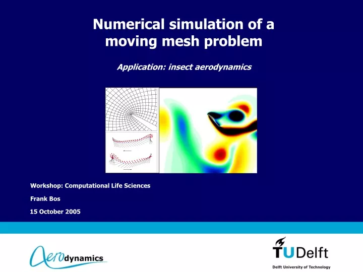 numerical simulation of a moving mesh problem