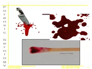 Forensic Serology &amp; Blood Splatter Analysis