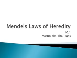 Mendels  Laws of Heredity