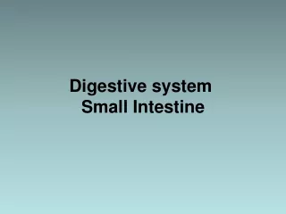 Digestive system  Small Intestine