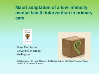 Maori adaptation of a low intensity mental health intervention in primary care
