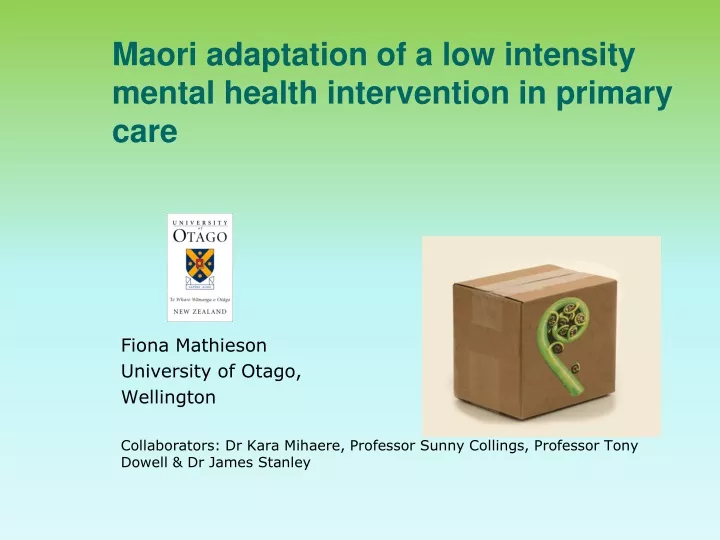 maori adaptation of a low intensity mental health intervention in primary care