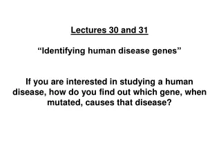 Lectures 30 and 31 “Identifying human disease genes”