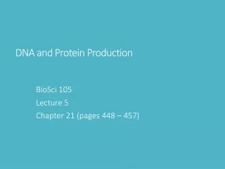 DNA and Protein Production