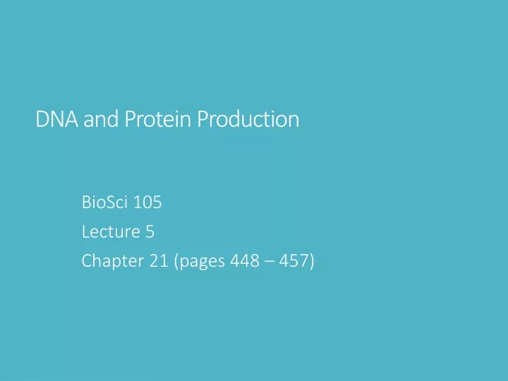 dna and protein production