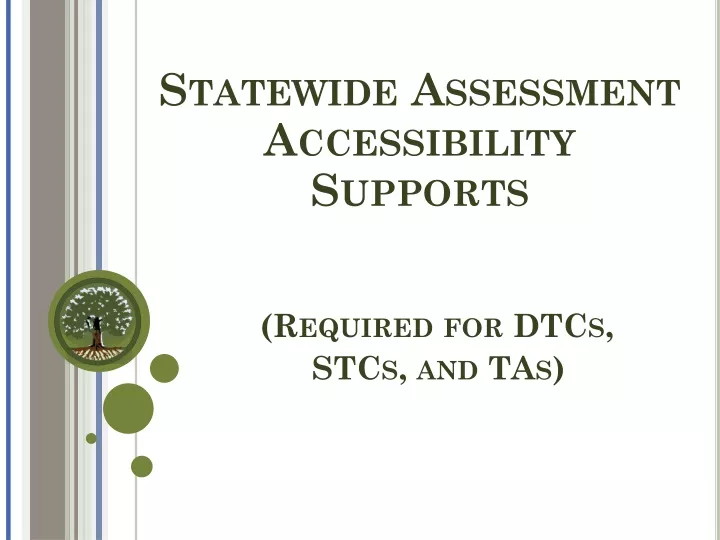 statewide assessment accessibility supports required for dtcs stcs and tas