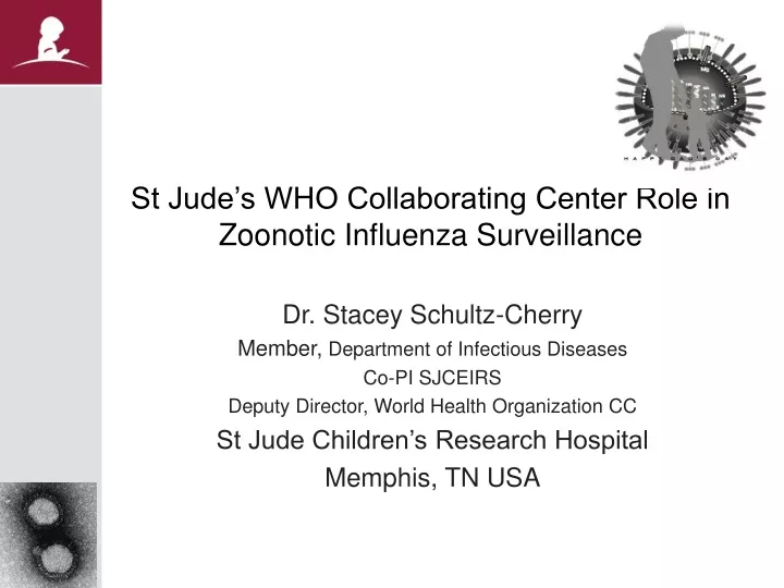 st jude s who collaborating center role