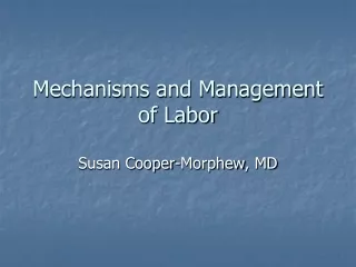 Mechanisms and Management of Labor