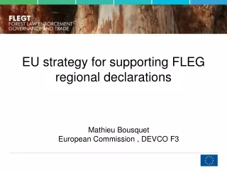 EU strategy for supporting FLEG regional declarations