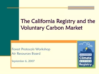 The California Registry and the Voluntary Carbon Market
