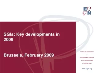 SGIs:  Key developments in 2009 Brussels, February 2009