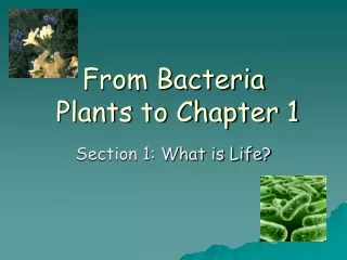 From Bacteria  Plants to Chapter 1