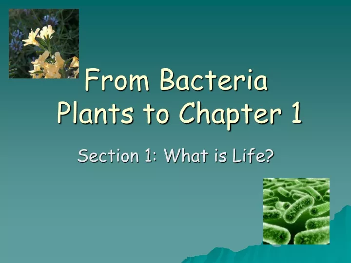 from bacteria plants to chapter 1