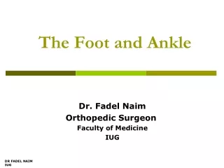 The Foot and Ankle