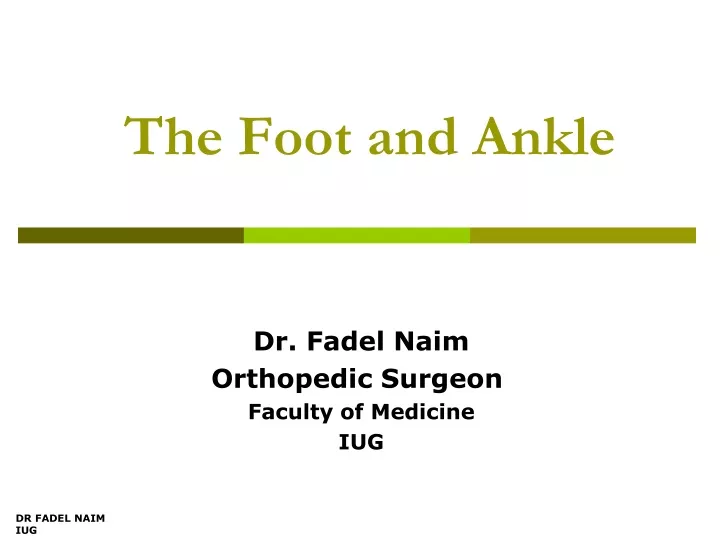 the foot and ankle