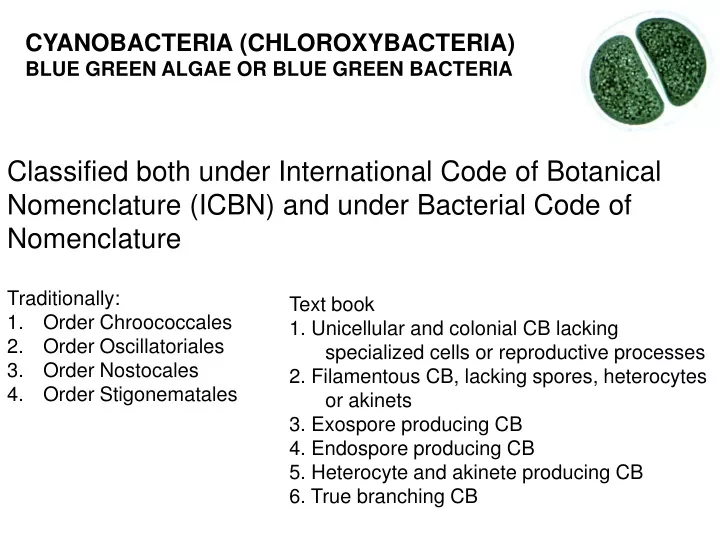 cyanobacteria chloroxybacteria blue green algae