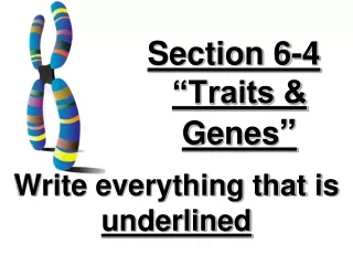 Section 6-4 “Traits &amp; Genes ”