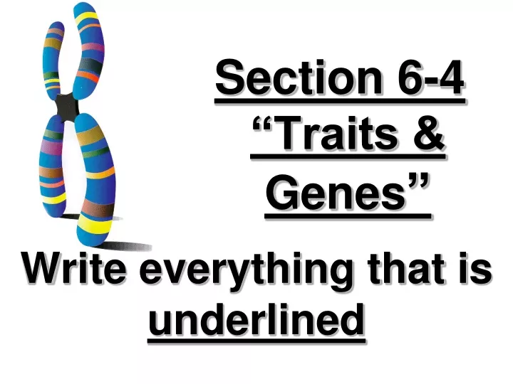 section 6 4 traits genes
