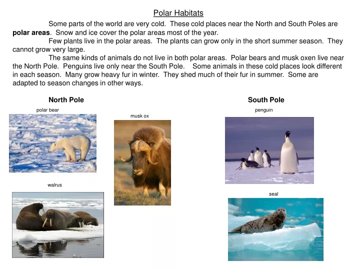 polar habitats some parts of the world are very