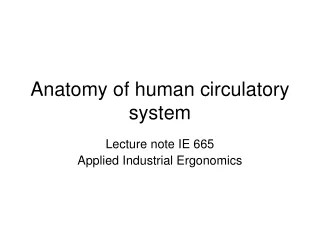 Anatomy of human circulatory system