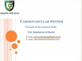 Cardiovascular System