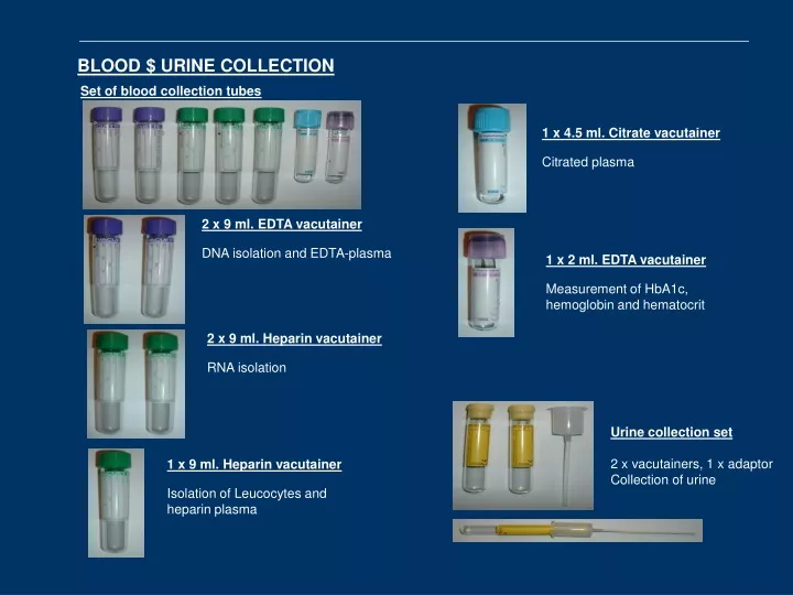 blood urine collection