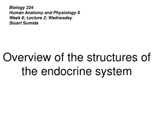 Biology 224 Human Anatomy and Physiology II Week 8; Lecture 2; Wednesday Stuart Sumida