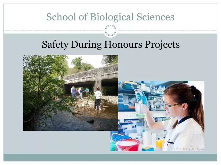school of biological sciences